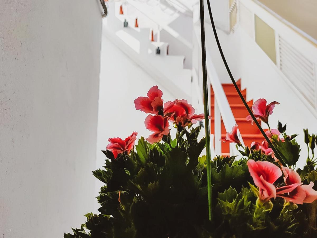Alma Canaria Rooms Las Palmas de Gran Canaria Dış mekan fotoğraf